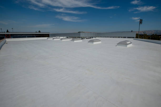 Best Roof Coating and Sealing  in Elizabeth, CO