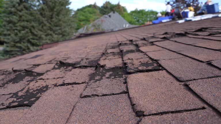 Best Roof Coating and Sealing  in Elizabeth, CO
