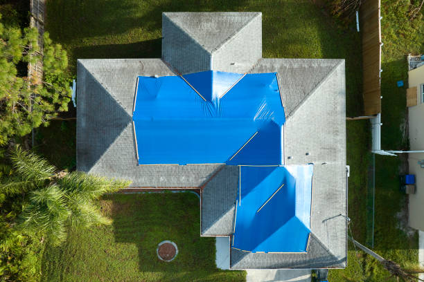 Best Flat Roofing  in Elizabeth, CO